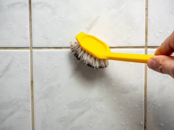Best Mold Cleaning Services  in Montague, MI